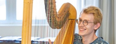 harfe-stef-van-vynckt (1)