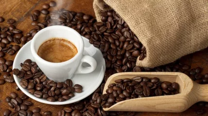 De Pinte - Van koffieboon tot barista, alles over koffie